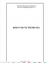 báo cáo tự đánh giá